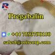 Pregabalin powder white pregabalin cas 148553-50-8 best price