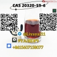 CAS20320-59-6 bmk oil 2-3 Days Delivery