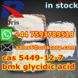Hot Sale bmk powder cas 5449-12-7 BMK glycidic acid(powder) Poland pick-up