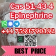 L-Epinephrine 51-43-4 powder safe and fast delivery