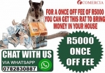Money Spell, Wallet And Rats In Rustenburg Call +27782830887