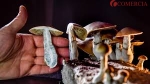 Kup grzyby spożywcze, kup DMT online Mushrooms online